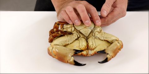 Dela en krabba steg 1